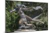 Statue of Egle-null-Mounted Photographic Print