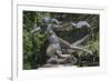 Statue of Egle-null-Framed Photographic Print