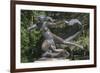 Statue of Egle-null-Framed Photographic Print