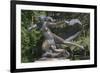 Statue of Egle-null-Framed Photographic Print