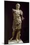 Statue of Emperor with Armor, Uncovered in Theatre of Vaison-La-Romaine-null-Mounted Giclee Print