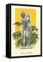 Statue of Eros and Psyche-null-Framed Stretched Canvas