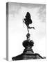 Statue of Eros-Fred Musto-Stretched Canvas