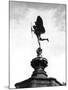 Statue of Eros-Fred Musto-Mounted Photographic Print