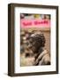 Statue of film director Woody Allen, Oviedo, Asturias Province, Spain-null-Framed Photographic Print