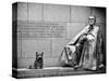 Statue of Franklin Roosevelt with His Dog, Memorial Franklin Delano Roosevelt, Washington D.C-Philippe Hugonnard-Stretched Canvas