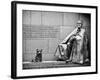 Statue of Franklin Roosevelt with His Dog, Memorial Franklin Delano Roosevelt, Washington D.C-Philippe Hugonnard-Framed Photographic Print