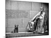 Statue of Franklin Roosevelt with His Dog, Memorial Franklin Delano Roosevelt, Washington D.C-Philippe Hugonnard-Mounted Photographic Print