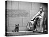 Statue of Franklin Roosevelt with His Dog, Memorial Franklin Delano Roosevelt, Washington D.C-Philippe Hugonnard-Stretched Canvas