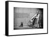 Statue of Franklin Roosevelt with His Dog, Memorial Franklin Delano Roosevelt, Washington D.C-Philippe Hugonnard-Framed Stretched Canvas