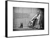 Statue of Franklin Roosevelt with His Dog, Memorial Franklin Delano Roosevelt, Washington D.C-Philippe Hugonnard-Framed Stretched Canvas