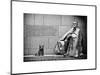 Statue of Franklin Roosevelt with His Dog, Memorial Franklin Delano Roosevelt, Washington D.C-Philippe Hugonnard-Mounted Art Print