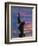 Statue of Freddy Mercury, Montreux, Canton Vaud, Switzerland, Europe-Angelo Cavalli-Framed Premium Photographic Print