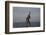 Statue of Freddy Mercury, Montreux, Canton Vaud, Switzerland, Europe-Angelo Cavalli-Framed Photographic Print