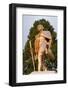 Statue of Gandhi, Shimla, Himachal Pradesh, India, Asia-Gavin Hellier-Framed Photographic Print