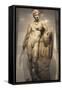 Statue of Ganymede with the Eagle-null-Framed Stretched Canvas