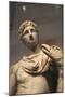 Statue of Ganymede with the Eagle-null-Mounted Premium Photographic Print