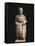 Statue of Gaul Soldier from Avignon, France-null-Framed Stretched Canvas