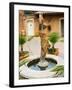 Statue of Goddess at Viansa Winery, Sonoma Valley, California, USA-Julie Eggers-Framed Photographic Print