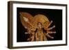 Statue of Goddess Durga at Durja Pooja Festival-Indian School-Framed Giclee Print