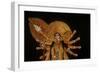 Statue of Goddess Durga at Durja Pooja Festival-Indian School-Framed Giclee Print