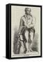 Statue of Grattan in St Stephen's Hall, New Palace of Westminster-null-Framed Stretched Canvas