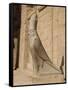 Statue of Horus, at the Temple of Horus, Edfu, Egypt, North Africa, Africa-Harding Robert-Framed Stretched Canvas