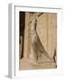 Statue of Horus, at the Temple of Horus, Edfu, Egypt, North Africa, Africa-Harding Robert-Framed Photographic Print