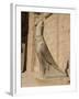 Statue of Horus, at the Temple of Horus, Edfu, Egypt, North Africa, Africa-Harding Robert-Framed Photographic Print