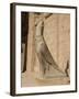 Statue of Horus, at the Temple of Horus, Edfu, Egypt, North Africa, Africa-Harding Robert-Framed Photographic Print