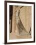 Statue of Horus, at the Temple of Horus, Edfu, Egypt, North Africa, Africa-Harding Robert-Framed Photographic Print