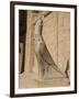 Statue of Horus, at the Temple of Horus, Edfu, Egypt, North Africa, Africa-Harding Robert-Framed Photographic Print