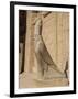 Statue of Horus, at the Temple of Horus, Edfu, Egypt, North Africa, Africa-Harding Robert-Framed Photographic Print