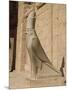 Statue of Horus, at the Temple of Horus, Edfu, Egypt, North Africa, Africa-Harding Robert-Mounted Photographic Print