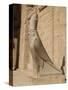 Statue of Horus, at the Temple of Horus, Edfu, Egypt, North Africa, Africa-Harding Robert-Stretched Canvas