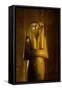 Statue of Horus the Elder, Herwer, KV 62, 2009 (Photo)-Kenneth Garrett-Framed Stretched Canvas