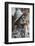 Statue of James Joyce, O'Connell Street, Dublin, Republic of Ireland, Europe-Nigel Hicks-Framed Photographic Print