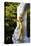 Statue of Johann Strauss, Stadtpark, Vienna, Austria, Central Europe-Neil Farrin-Stretched Canvas