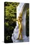 Statue of Johann Strauss, Stadtpark, Vienna, Austria, Central Europe-Neil Farrin-Stretched Canvas