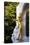 Statue of Johann Strauss, Stadtpark, Vienna, Austria, Central Europe-Neil Farrin-Stretched Canvas