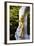 Statue of Johann Strauss, Stadtpark, Vienna, Austria, Central Europe-Neil Farrin-Framed Photographic Print