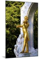 Statue of Johann Strauss, Stadtpark, Vienna, Austria, Central Europe-Neil Farrin-Mounted Photographic Print