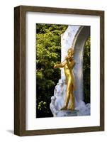 Statue of Johann Strauss, Stadtpark, Vienna, Austria, Central Europe-Neil Farrin-Framed Photographic Print