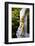 Statue of Johann Strauss, Stadtpark, Vienna, Austria, Central Europe-Neil Farrin-Framed Photographic Print