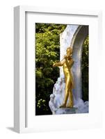 Statue of Johann Strauss, Stadtpark, Vienna, Austria, Central Europe-Neil Farrin-Framed Photographic Print