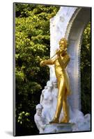 Statue of Johann Strauss, Stadtpark, Vienna, Austria, Central Europe-Neil Farrin-Mounted Photographic Print