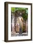 Statue of Juliet, Juliet's House, Verona, UNESCO World Heritage Site, Veneto, Italy, Europe-Nico-Framed Photographic Print