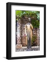 Statue of Juliet, Juliet's House, Verona, UNESCO World Heritage Site, Veneto, Italy, Europe-Nico-Framed Photographic Print