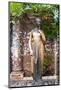 Statue of Juliet, Juliet's House, Verona, UNESCO World Heritage Site, Veneto, Italy, Europe-Nico-Mounted Photographic Print