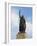 Statue of King Alfred, Winchester, Hampshire, England, United Kingdom, Europe-Rawlings Walter-Framed Photographic Print